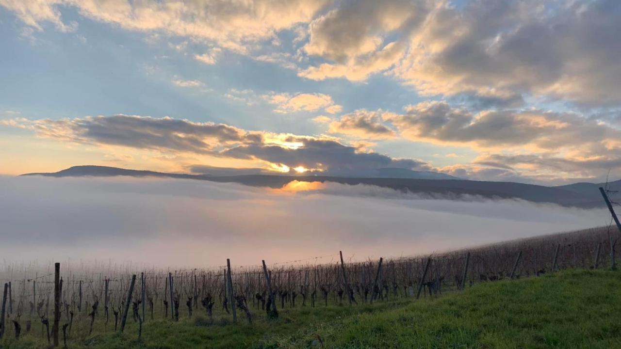 Un Petit Coin D'Alsace Βίλα Soultzmatt Εξωτερικό φωτογραφία